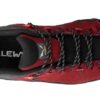 alp trainer w gtx6