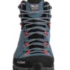 alp trainer 2-3