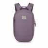 arcane small purple dusk 2