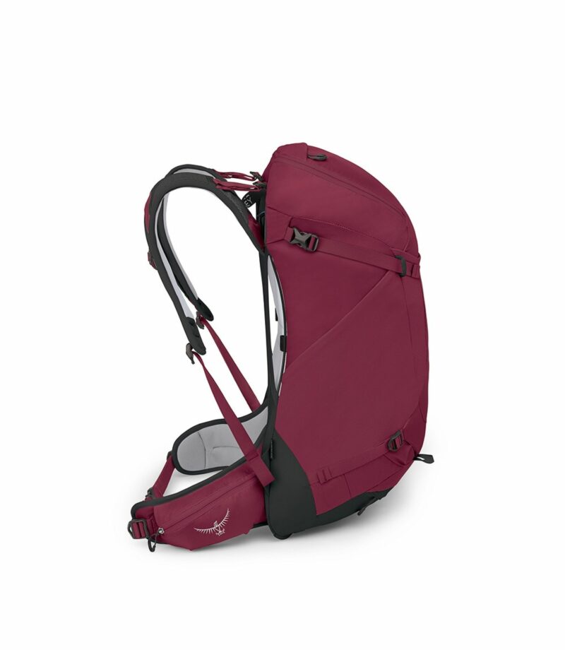 Osprey Hikelite 32L Σακίδιο Ορειβασίας Chameleon S/M - Εικόνα 3