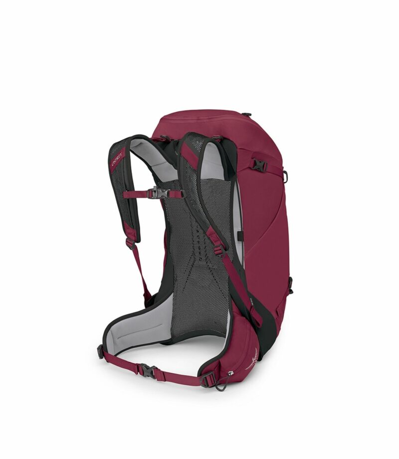 Osprey Hikelite 32L Σακίδιο Ορειβασίας Chameleon S/M - Εικόνα 4