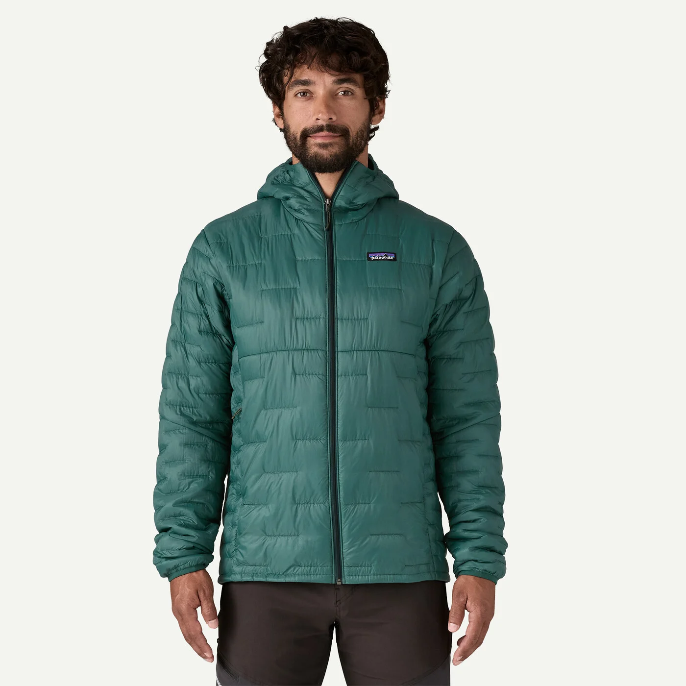 Patagonia Micro Puff Hoody Αντρικό Συνθετικό Μπουφάν Cascade Green - Image 2