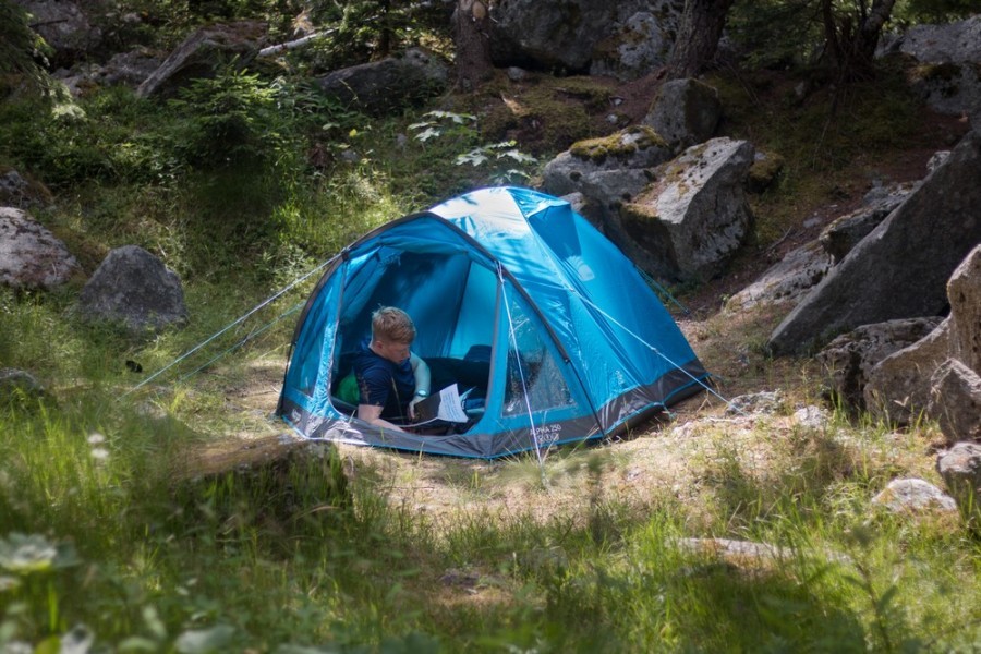Vango alpha 250 on sale