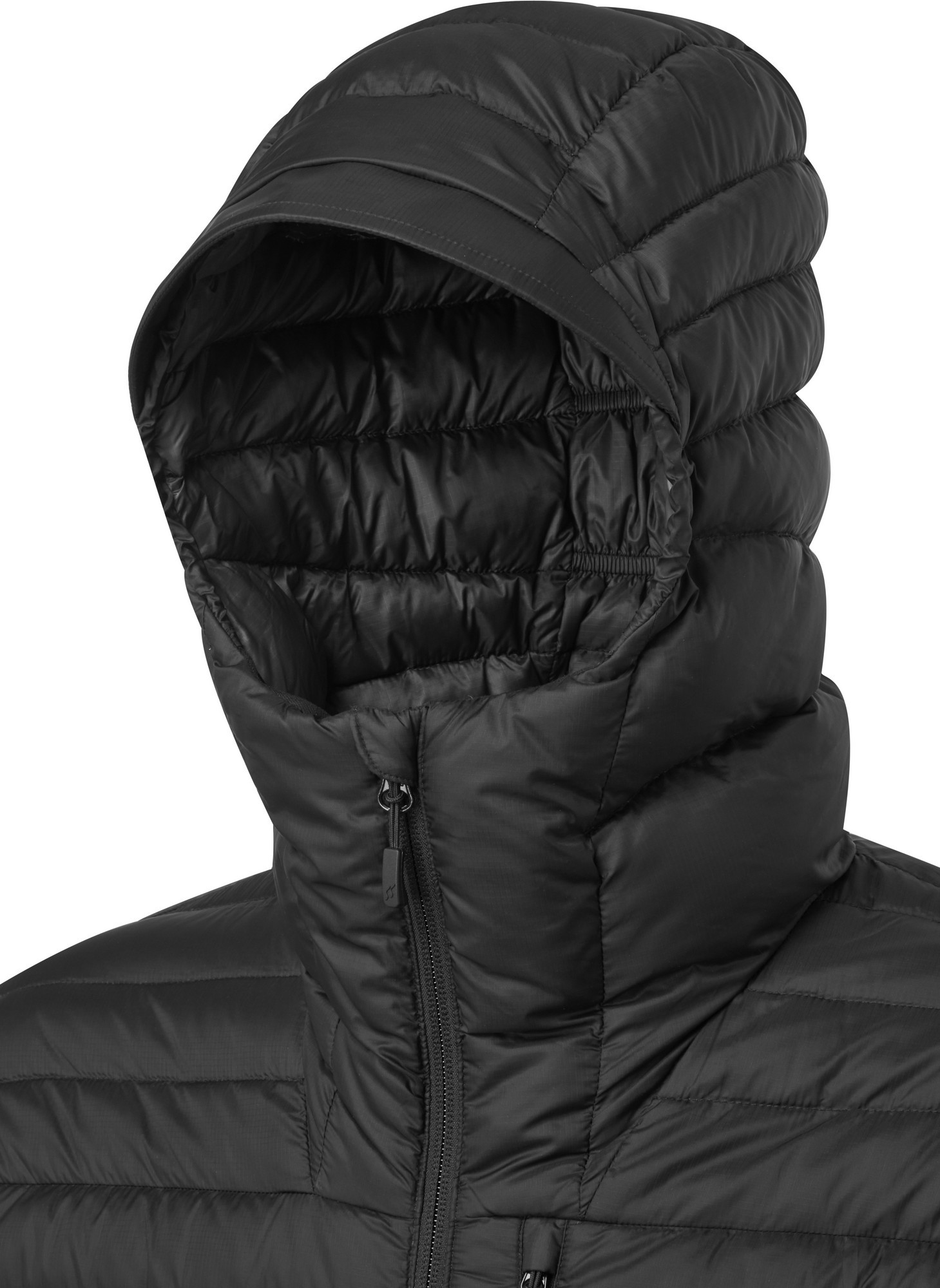 9954